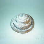 Булка с корицей