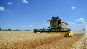 Ставропольские хлеборобы намолотили первый миллион тонн зерна