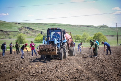 К 2020 году в Ипатовском городском округе появятся свыше 400 гектаров новых садов