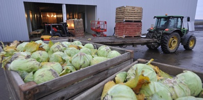 На Ставрополье увеличат объём овощехранилищ до 142 тысяч тонн