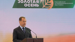 На «Золотой осени» по достоинству оценили агропромышленный комплекс Ставропольского края