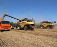 Уборочная страда на Ставрополье завершена. Итоги впереди