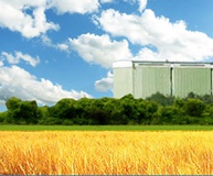 Услуги по хранению зерна