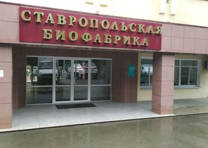 Президент ТПП СК Борис Оболенец поблагодарил коллектив членской организации за сохранение и преумножение накопленного опыта