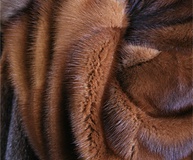 Шкурки норки клеточной