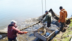 Окна возможностей. Членская организация ТПП СК поздравила рыбоводов региона