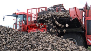 На Ставрополье планируют наращивать мощности по переработке сахарной свеклы