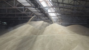 Членские организации ТПП СК среди лидеров АПК Ставрополья