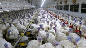 Высокую оценку регионального минсельхоза получила  членская организация ТПП СК